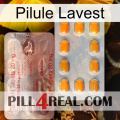 Lavest Pill new13